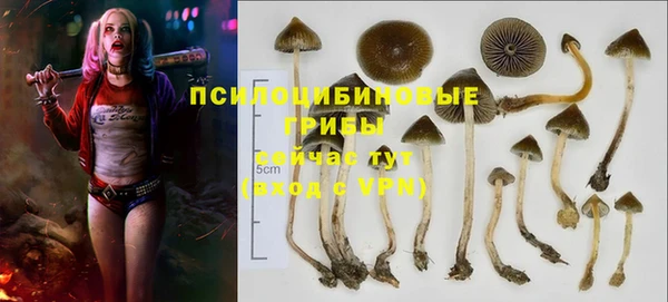 дживик Арсеньев