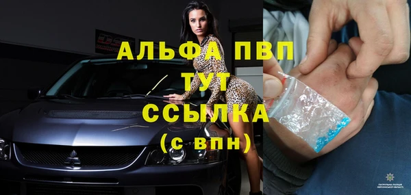 дживик Арсеньев