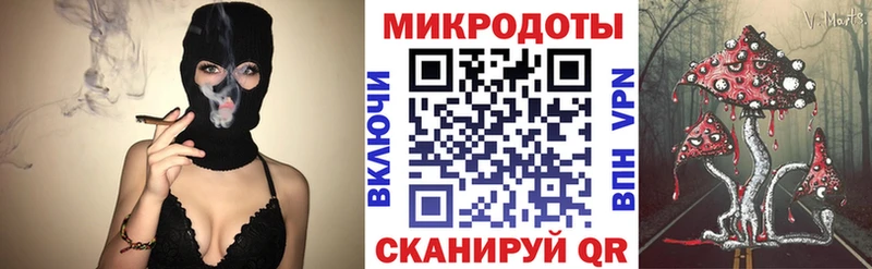 Галлюциногенные грибы Psilocybe  Купить где  Циолковский 