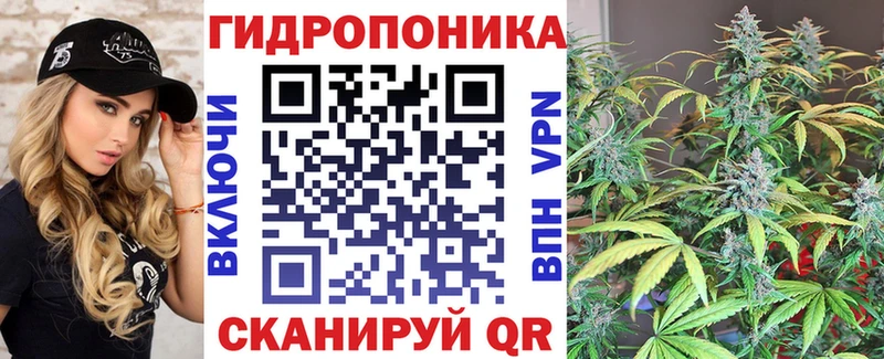 Купить закладки  Циолковский  Шишки марихуана семена 